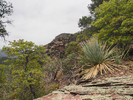 photo thumbnail #2