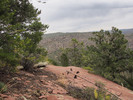 photo thumbnail #4