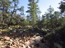 photo thumbnail #3