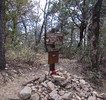 photo thumbnail #3