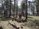 photo thumbnail #4