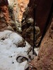 photo thumbnail #15