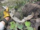 photo thumbnail #11