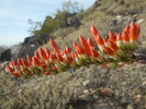 photo thumbnail #11