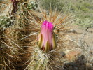 photo thumbnail #6