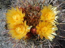 photo thumbnail #1