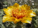 photo thumbnail #2