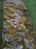 photo thumbnail #11