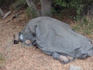 photo thumbnail #1