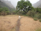 photo thumbnail #6