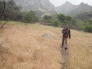photo thumbnail #7