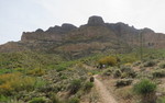 photo thumbnail #5