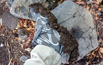 photo thumbnail #1
