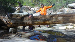 photo thumbnail #4