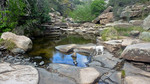 photo thumbnail #5