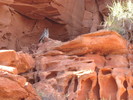 photo thumbnail #7