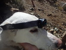 photo thumbnail #3