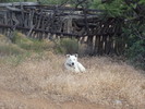 photo thumbnail #13