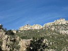 photo thumbnail #12