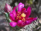 photo thumbnail #5