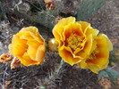 photo thumbnail #13