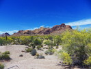 photo thumbnail #5