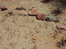 photo thumbnail #6