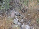 photo thumbnail #2