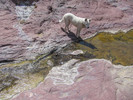 photo thumbnail #14
