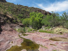 photo thumbnail #15