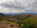 photo thumbnail #1
