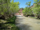 photo thumbnail #8
