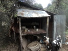 photo thumbnail #4