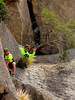photo thumbnail #13