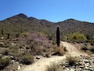 photo thumbnail #1