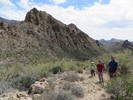 photo thumbnail #5