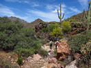 photo thumbnail #15