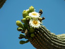 photo thumbnail #14