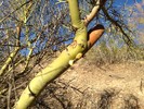 photo thumbnail #1