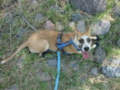 photo thumbnail #7