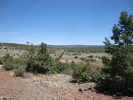 photo thumbnail #12