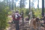photo thumbnail #4