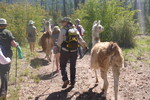 photo thumbnail #5