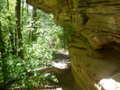 photo thumbnail #9