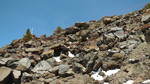 photo thumbnail #11