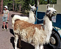 photo thumbnail #1