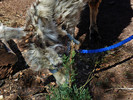 photo thumbnail #6