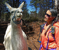 photo thumbnail #9