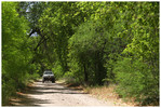 photo thumbnail #15