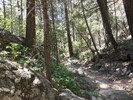 photo thumbnail #5